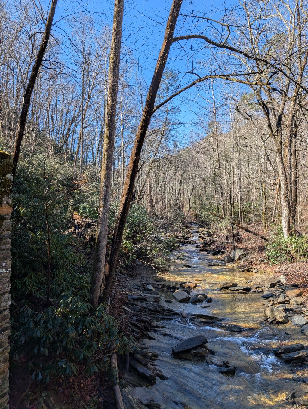 Pisgah National Forest,&nbsp;NC